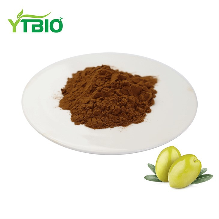 Oleuropein Powder